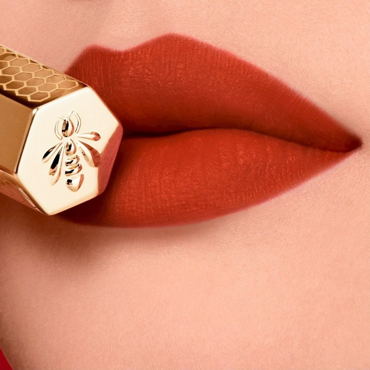 668 ウォームマリーゴールド