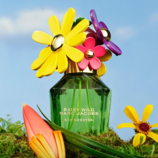 太陽の光と花々に包まれた、どこかノスタルジックで希望に満ちた世界観。デイジーらしい魅力が、よりいっそう引き立ちます!