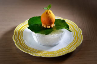 アミューズ「フォアグラとデコポン」 ~この場所で生まれた、新たな幕開け~