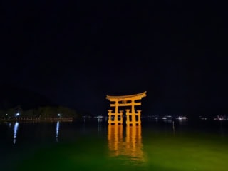 夜のライトアップされた大鳥居はさらに幻想的。