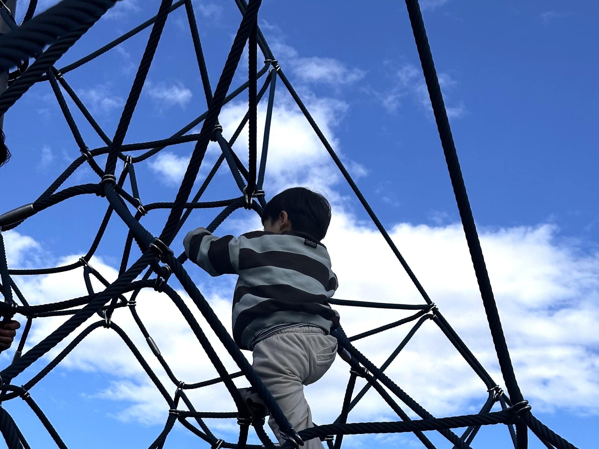 スリル満点のネット遊具