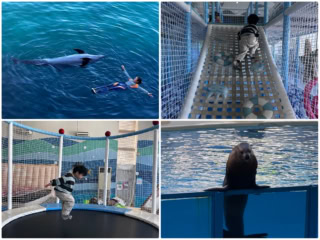 我が家のお気に入り水族館に仲間入りした、伊豆「三津シーパラダイス」