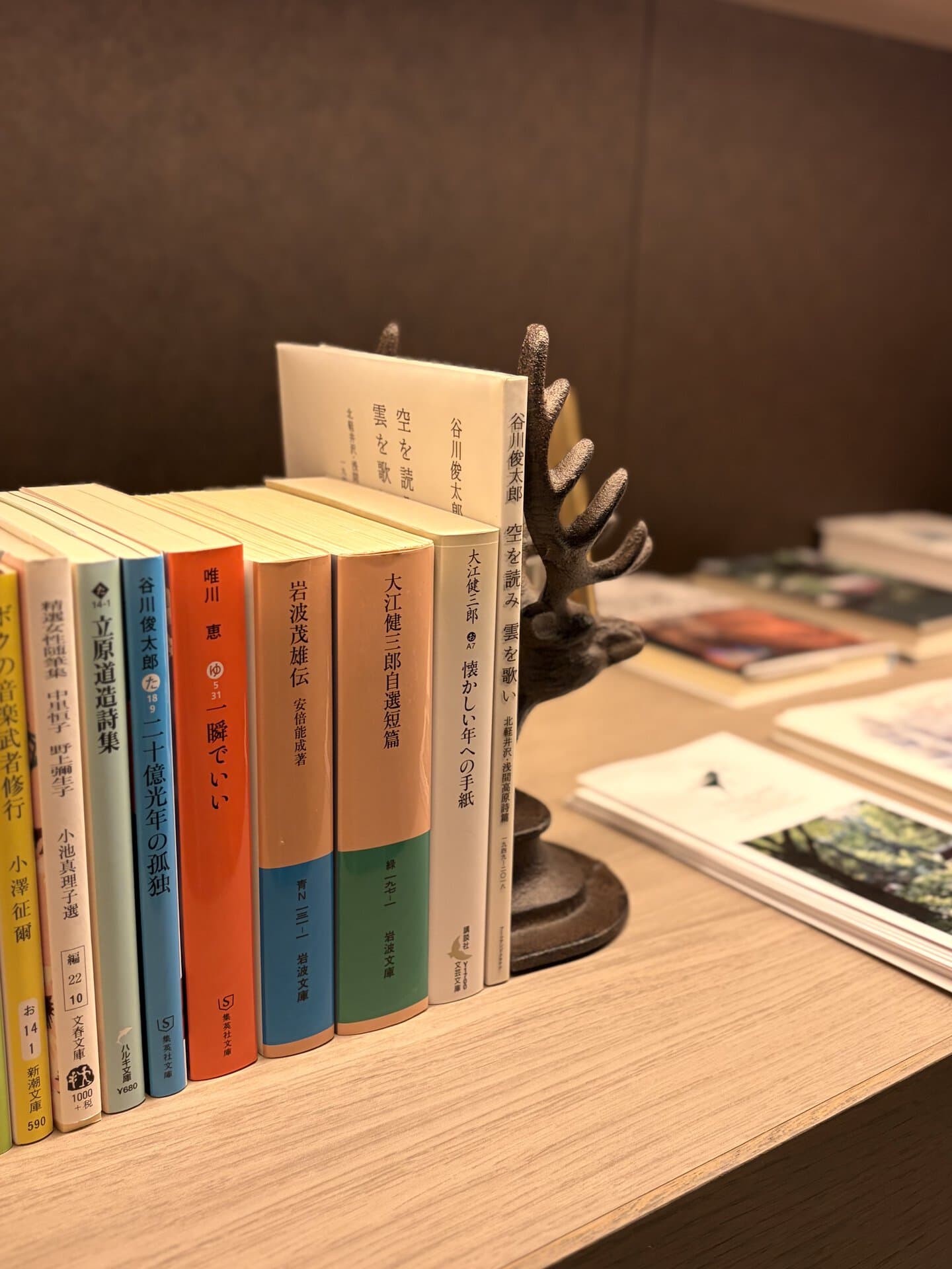 本棚には文庫本や絵本、雑誌など、老若男女問わず楽しめる書物が。本を忘れちゃった！という人もご安心を。