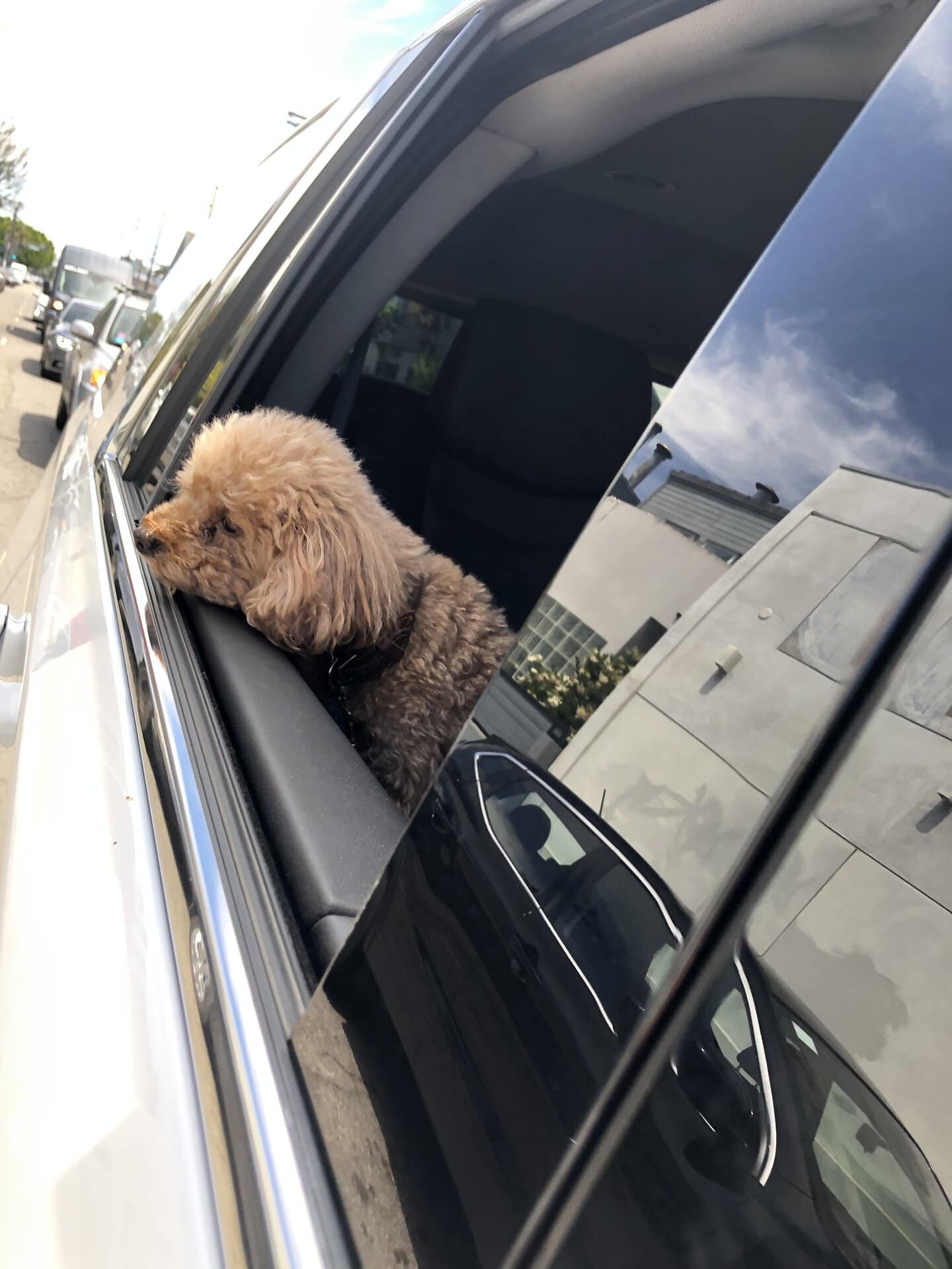 今日も静かに風を感じています。