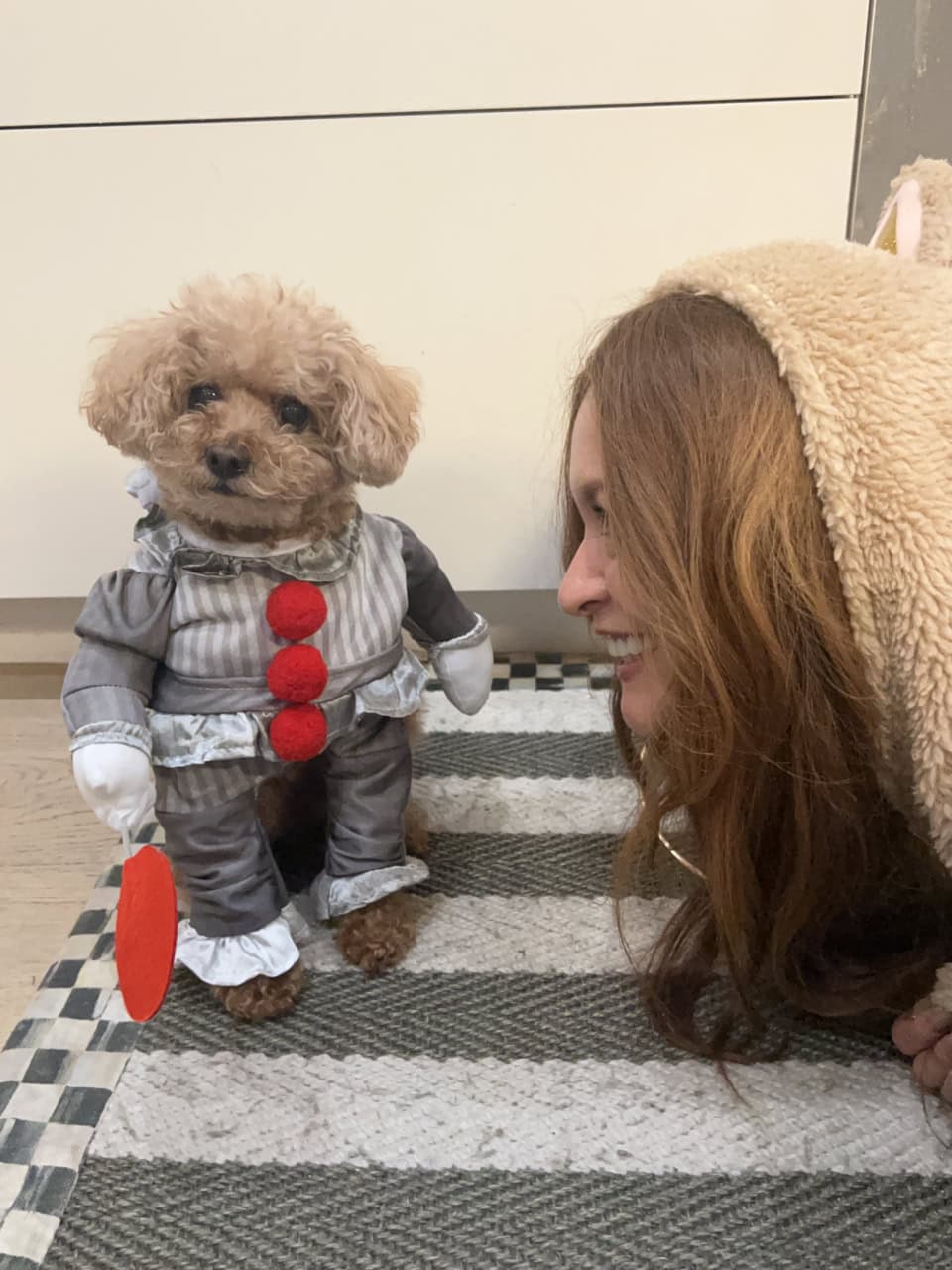 ハロウィンの仮装やら、誕生日やら。寒い季節など、たまに服を着せることもあります。