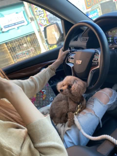 運転中も熱い視線を感じます。