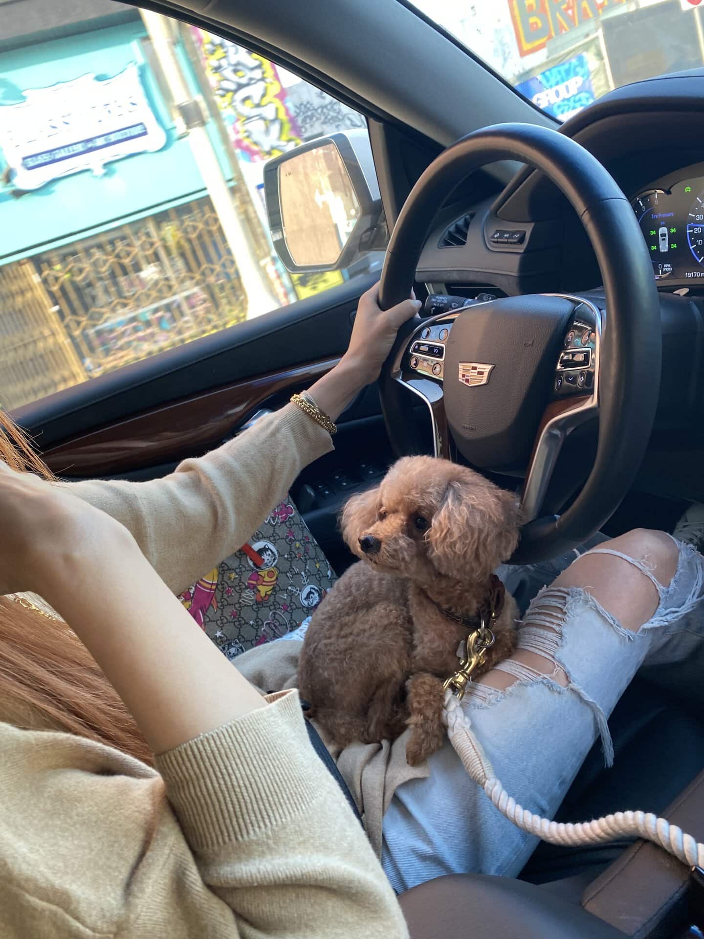 運転中も熱い視線を感じます。