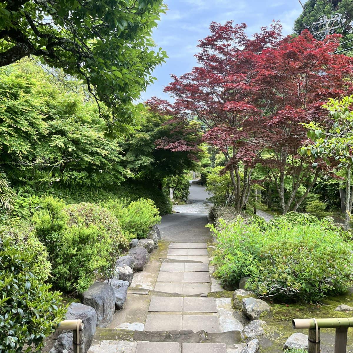 5月の海蔵寺、入り口からの風景。静かな空気と鮮やかな緑に包まれ、自然と呼吸までゆっくり整っていくようです。