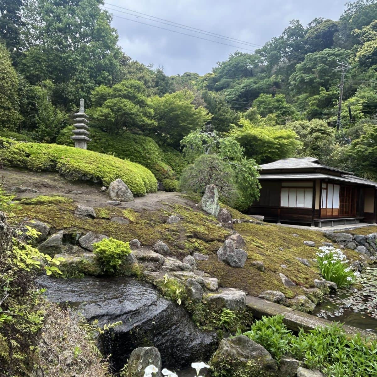 非公開となっている本堂裏の景色。水の流れる音と深い緑に包まれながら、心までゆっくり整います。