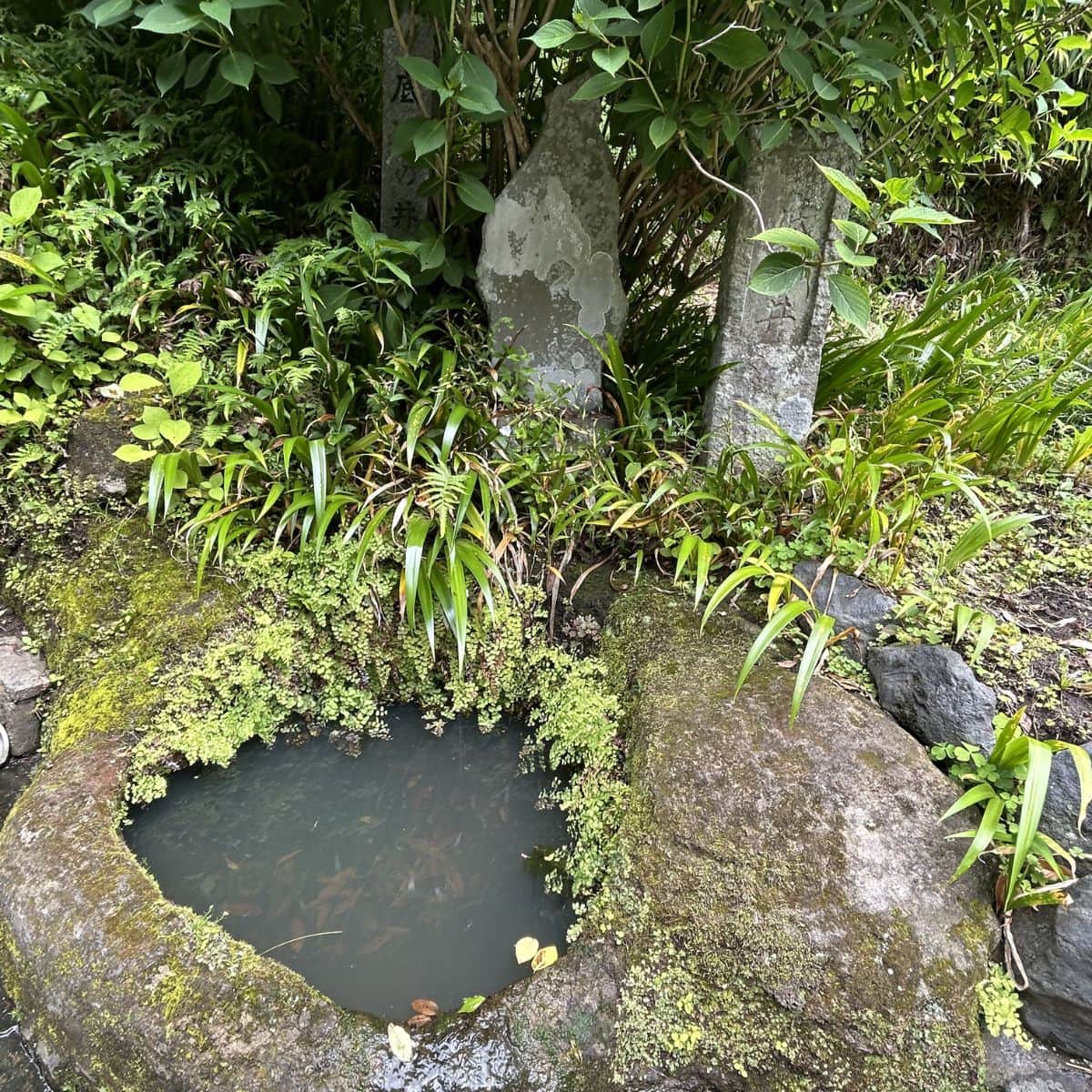 海蔵寺の境内にある「底脱ノ井」。長い年月を感じさせる佇まいに思わず足を止めたくなります。