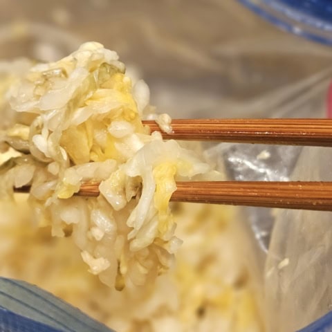 もはや現地超えのおいしさかも!? 程よい酸味で旨味爆発!【自家製発酵白菜&鍋】の作り方