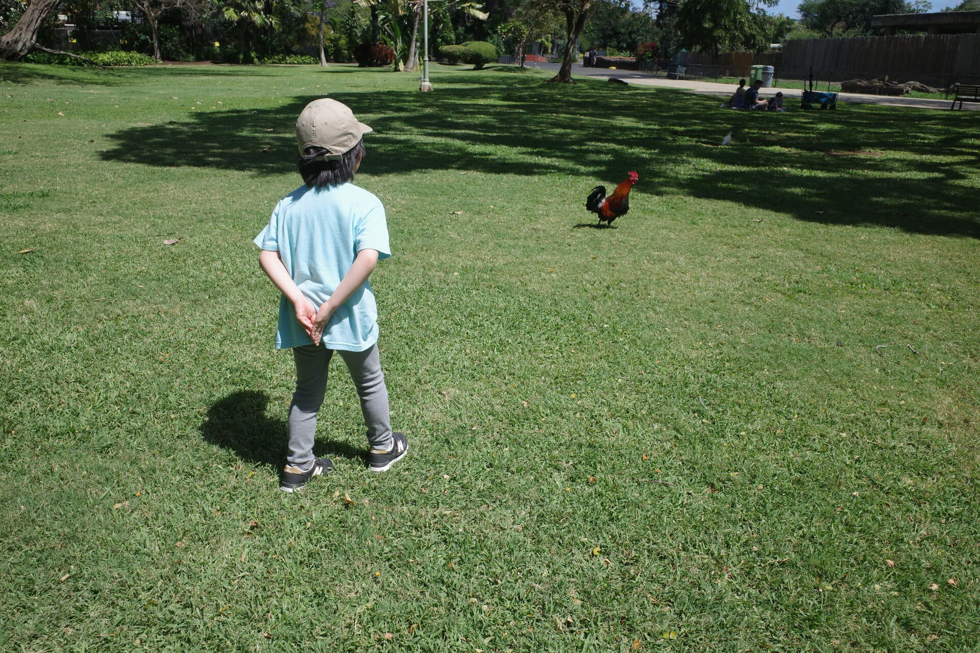 ホノルル動物園（Honolulu Zoo）