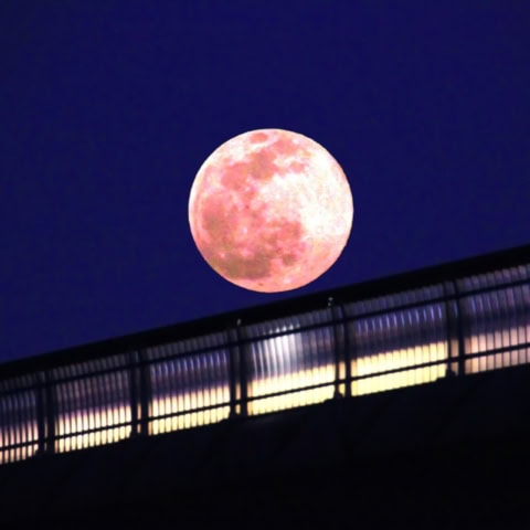 2026年6月の満月は30日（火）の8時57分。27日から7月3日までは体調不良にご注意ください