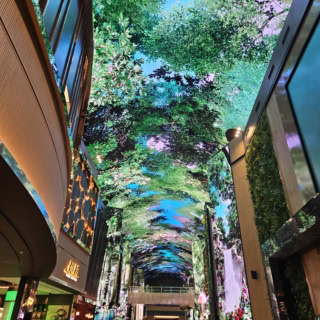 【圧巻のデジタルストリート『Aurora(オーロラ)』も必見!】オーロラは天井など全長150メートルを超高画質LEDで埋め尽くした巨大なキャンバス。動画も静止画も季節に合わせて、イベントに合わせて映し出すことができる、無限の可能性を秘めたインスパイアのメインストリートです。
