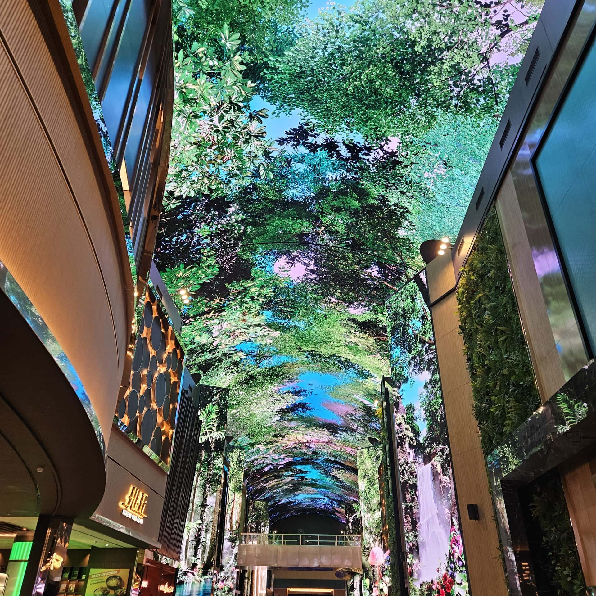 【圧巻のデジタルストリート『Aurora（オーロラ）』も必見！】オーロラは天井など全長150メートルを超高画質LEDで埋め尽くした巨大なキャンバス。動画も静止画も季節に合わせて、イベントに合わせて映し出すことができる、無限の可能性を秘めたインスパイアのメインストリートです。