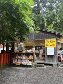 リーズナブルな紀州名物が盛りだくさん! とってもかわいいお母さんが接客してくれますよ!