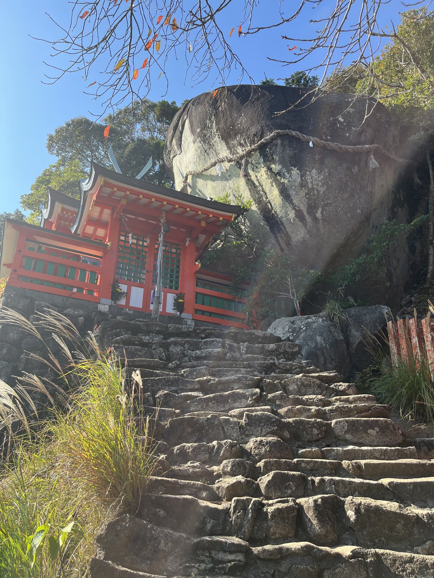 今回は天気が悪く伺えなかったので、以前訪れた神倉神社の写真を。この神社、538段の急勾配の石段を登るのですが、正直、かなりきついです。でも、がんばって登ったら新宮の街を一望できる絶景も拝めるので、ぜひ行ってみてください！