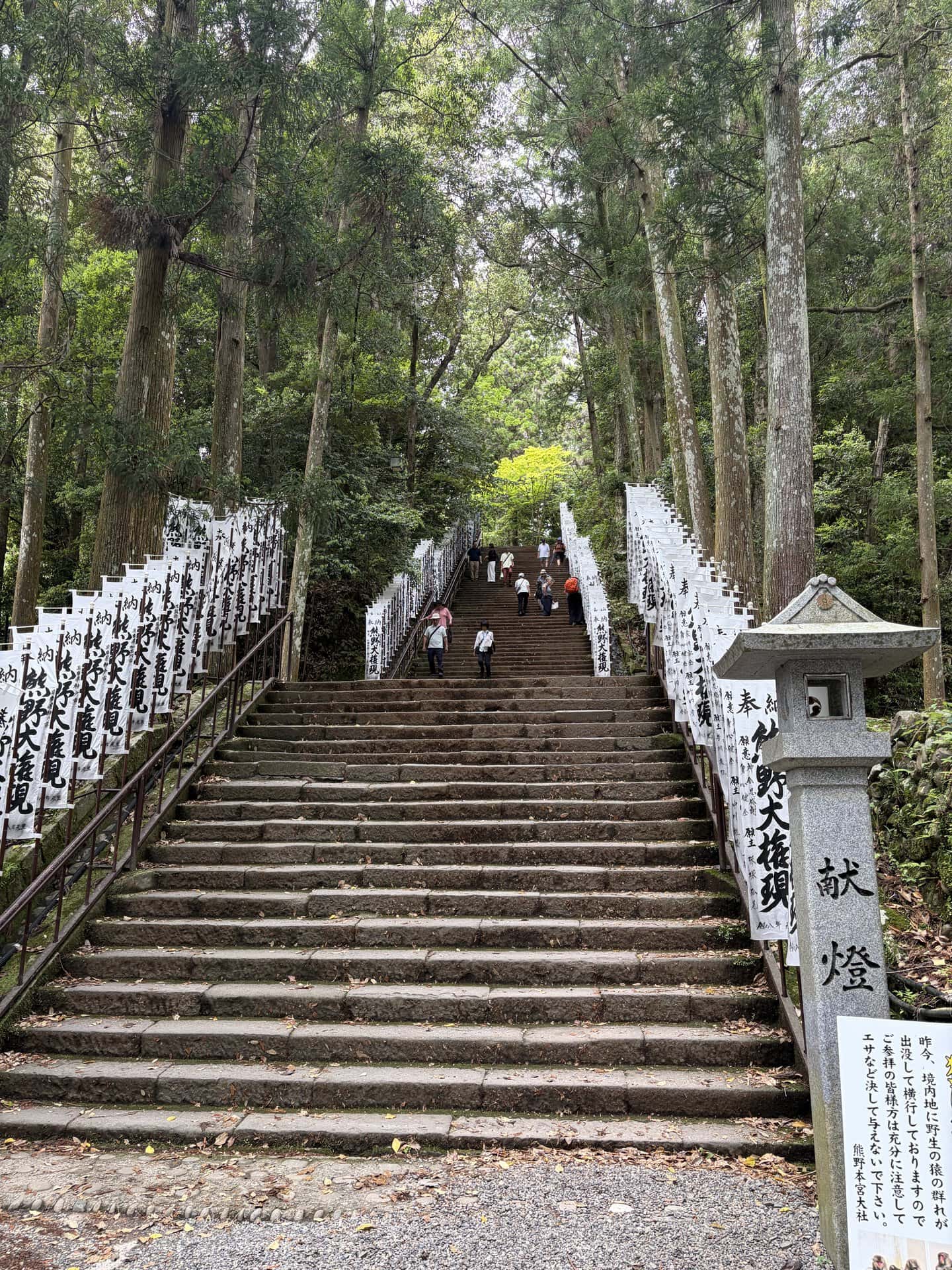 大鳥居の先には158段の石段が。これを一段一段登るにつれて、不思議と心が静まるんです