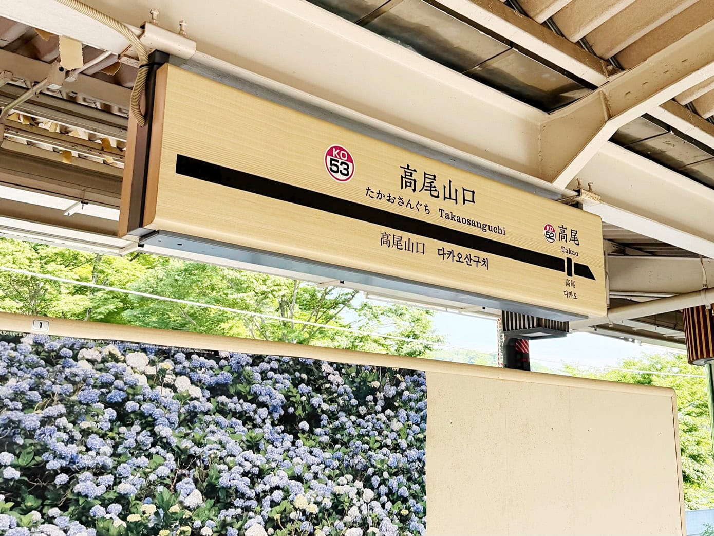 ソロ活のスタート地点・京王線・高尾山口駅