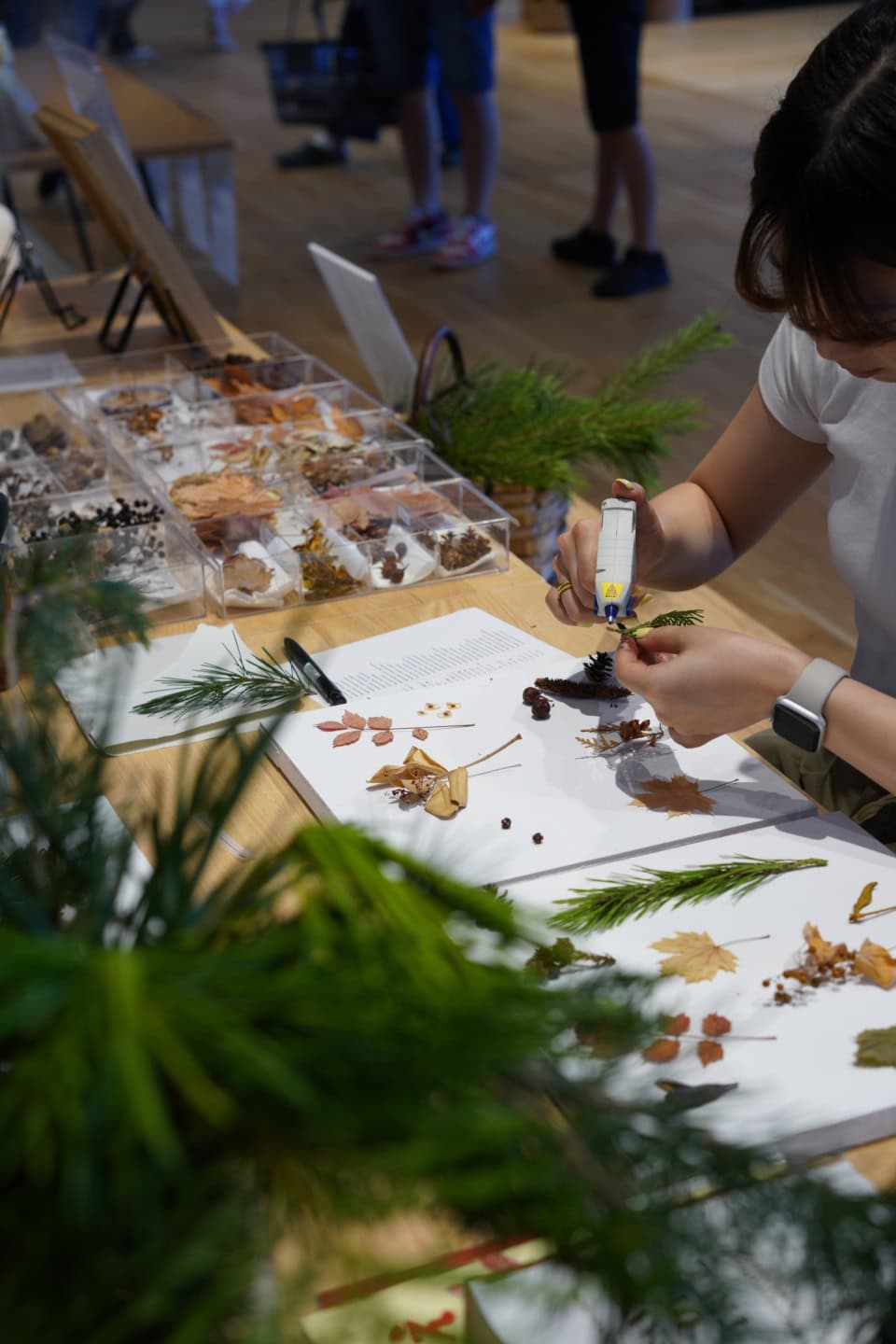 好きな植物を選んで標本を作る「植物標本づくり」(¥1,500)。蓼科の多様な植物の植生を学びながらインテリア小物にもなる標本を制作。