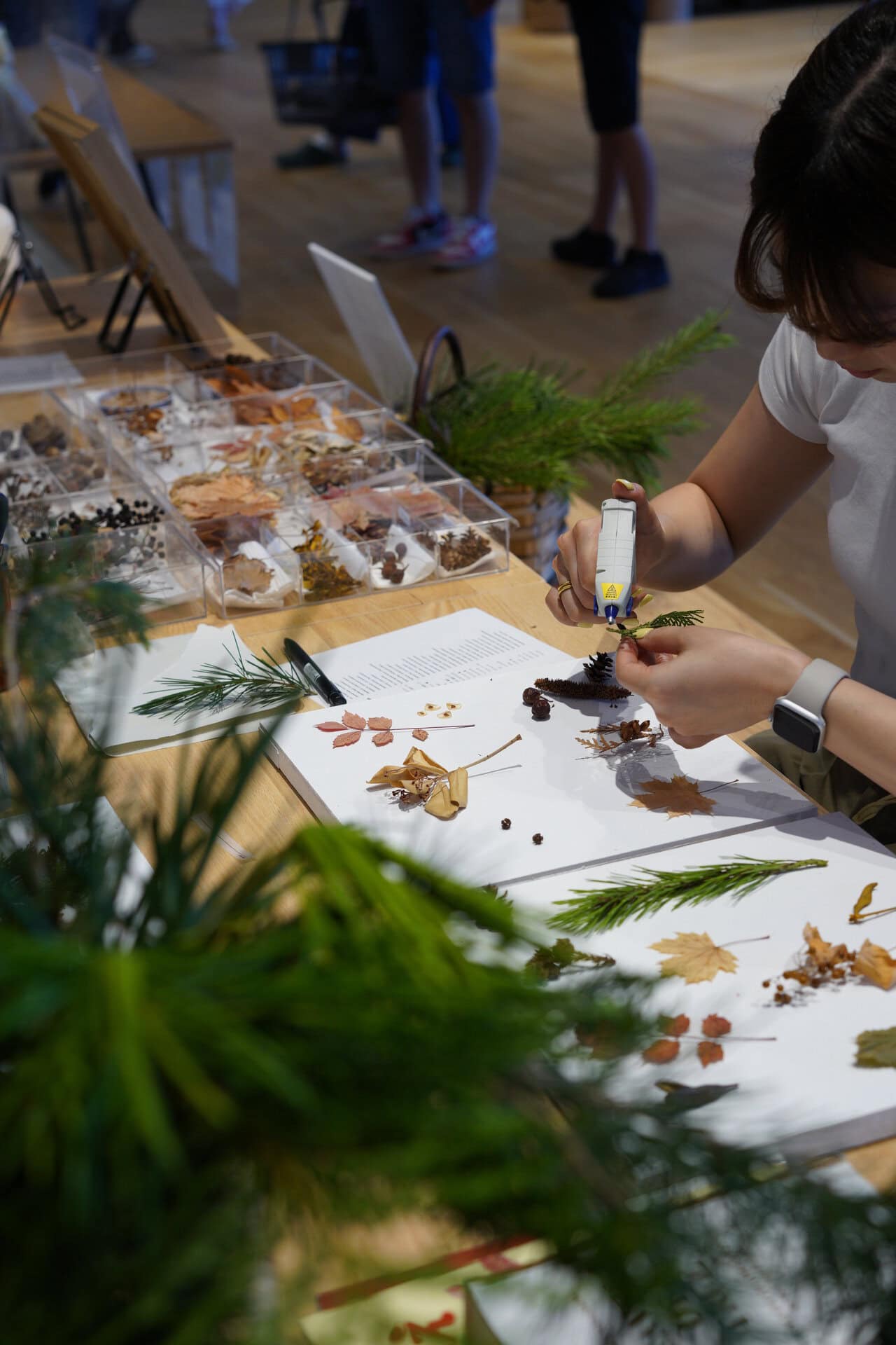 好きな植物を選んで標本を作る「植物標本づくり」(¥1,500)。蓼科の多様な植物の植生を学びながらインテリア小物にもなる標本を制作。