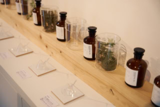 ラボで蒸留したさまざまな植物のエッセンシャルオイルも展示。カラマツやヒマラヤスギ、ウラジロモミ、サワラなどアロマオイルとしては珍しい素材の香りはどれも清々しく癒し効果大。