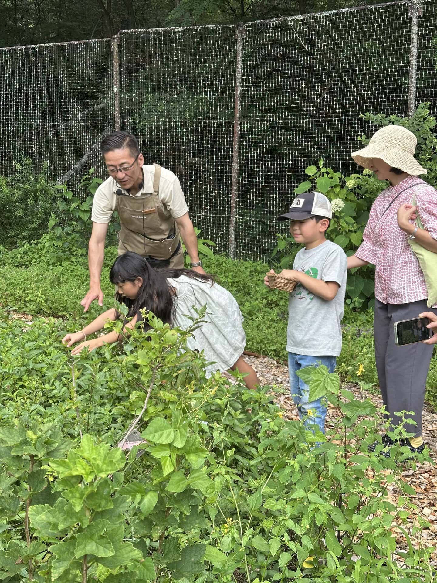 エディブルガーデンで栽培しているハーブや野菜、果物は収穫体験も可能。「ファーム・トゥ・テーブル(農場から食卓へ)」の考えに基づいて収穫したものは隣のグラマラスダイニングですぐに食べられるというのもポイント。