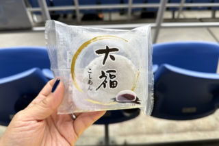 会場付近のコンビニは売り切れの可能性があるので、地元で購入しました。