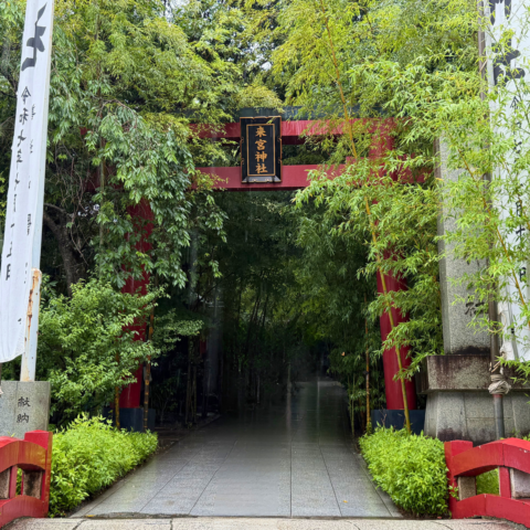 【熱海のパワースポット】来宮神社参拝&絶品海鮮ランチを味わう「大人の日帰りドライブ」
