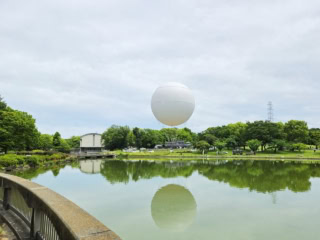 バルーンの乗船場所は、大阪堺市の大仙公園内に。