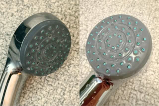 引き上げたら古い歯ブラシで綺麗に。なかなか落ちなかった白いカピカピがこれですっきりピカピカ!