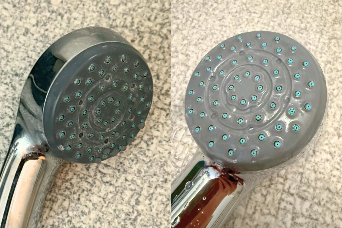 引き上げたら古い歯ブラシで綺麗に。なかなか落ちなかった白いカピカピがこれですっきりピカピカ!