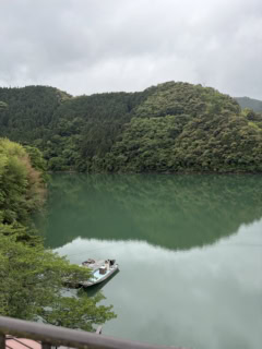 十津川温泉のバス停の前に広がっているのは二津野ダム湖。秋から冬にかけては、全国有数のオシドリの越冬地としても知られているそう