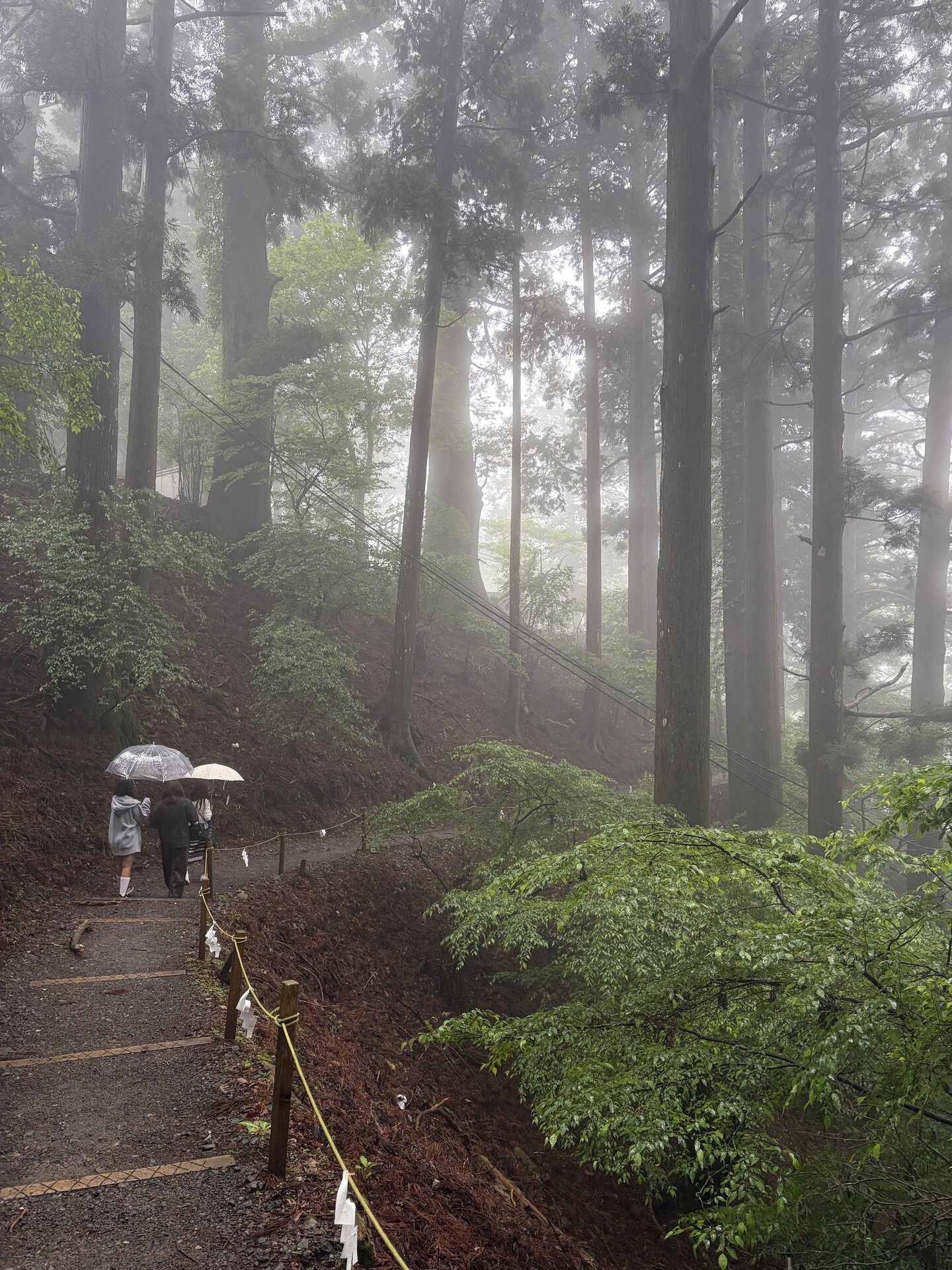筆者がうかがった日は霧がすごかっただけでなく、ときおり雨も降っていたんです。その雨が雑念などをキレイに洗い流してくれた気がしました