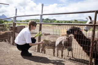「餌あげてみるかい?」と声をかけられ、農家の人&動物とひとときの交流。なんてかわいさなの〜♡