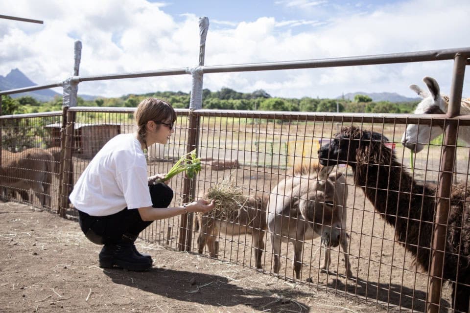 「餌あげてみるかい?」と声をかけられ、農家の人&動物とひとときの交流。なんてかわいさなの〜♡