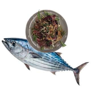 KATSUO is the No.1 FOOD!!