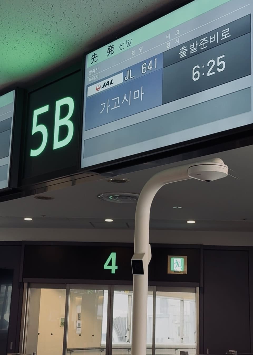 朝一番のフライトで羽田空港から鹿児島へ。