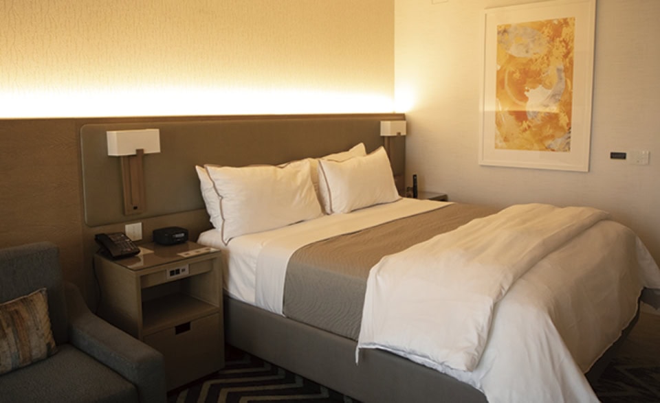 THE WESTIN ANAHEIM RESORT ザ・ウェスティン・アナハイム・リゾート