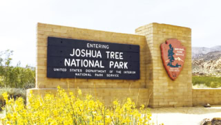JOSHUA TREE NATIONAL PARK