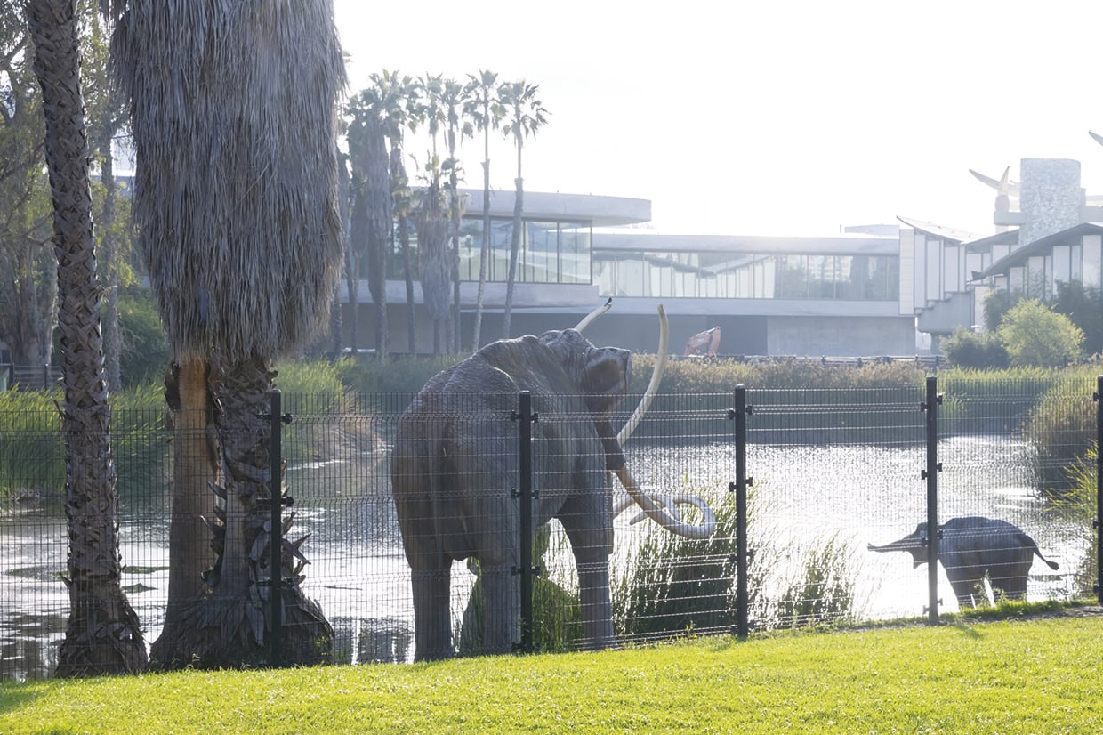 LOS ANGELES COUNTY MUSEUM OF ART