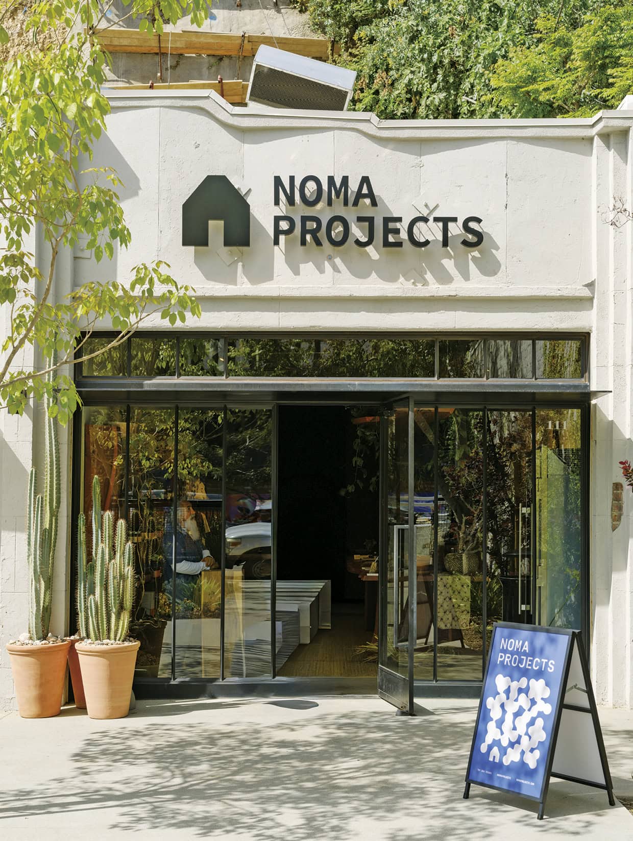 NOMA