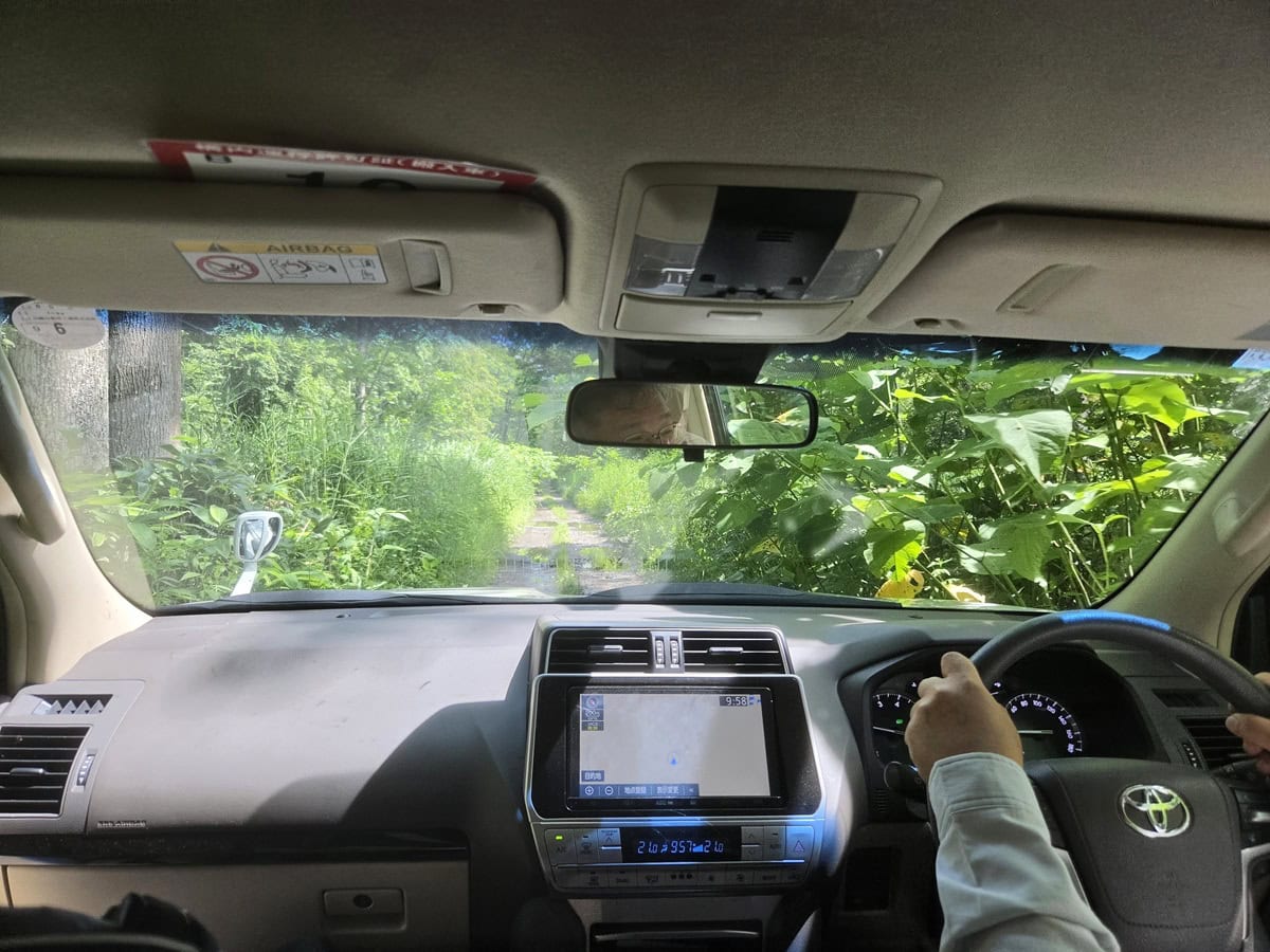 北海道・栗林町にある王子の森へ向かう山道。車一台がやっと通れるくらい、うっそうと植物が生い茂っている。この中にも、健康や美容に役立つ可能性がある薬用植物がたくさん！