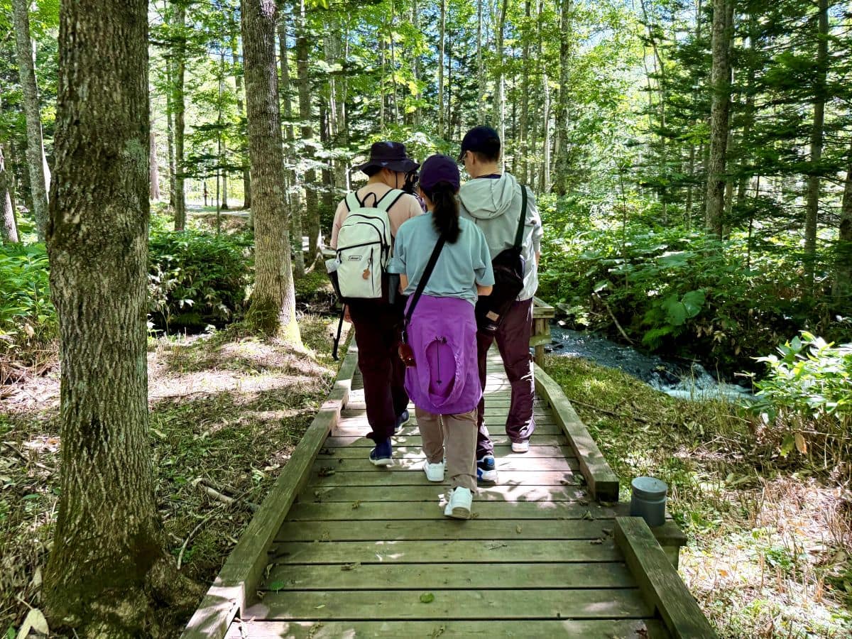 クラブメッド・北海道トマムのマウンテンアクティビティに参加。心地の良い、1時間のハイキングが夏の思い出。