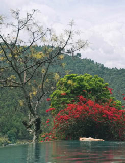 Reflections at Amankora Punakha