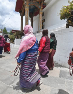 Punakha Dzong, framed by jacaranda in bloom.