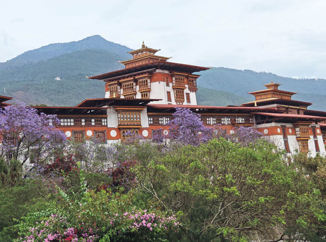 Punakha Dzong, framed by jacaranda in bloom.
