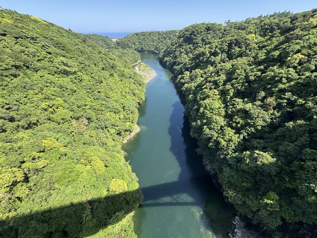 漕ぎ進めるほどに両岸に広がる照葉樹林の谷が近くなり、森林浴しているような気分に。