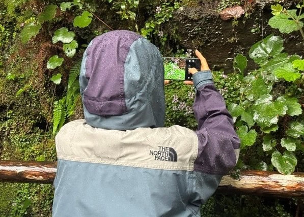 ヤクスギランドで撮影する風間ゆみえさん。思わず足をとめて撮影したくなる景観がそこかしこに。