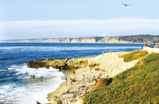 LA JOLLA CAVE ラホヤ・コーブ